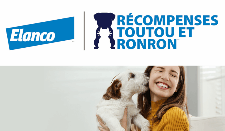 le club toutou et ronron