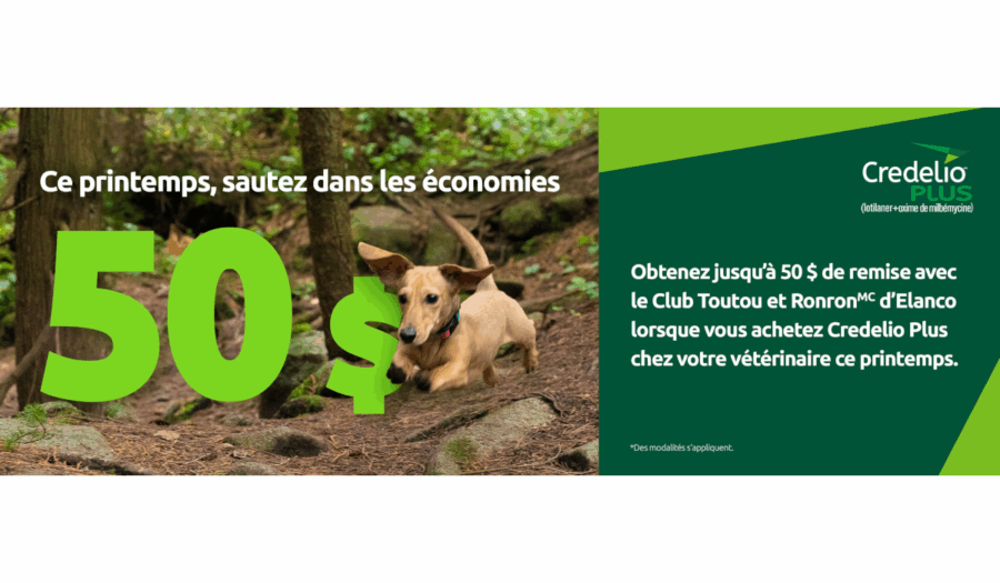 récompenses Credilio Plus